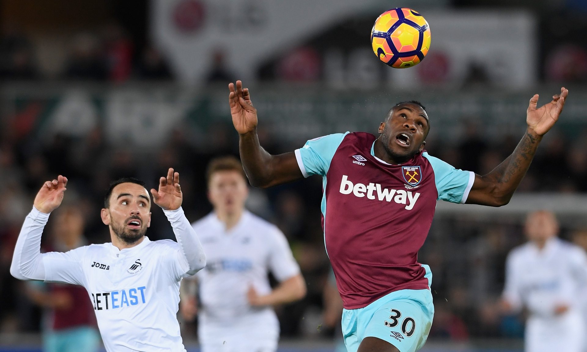 国羽女单 国羽女单